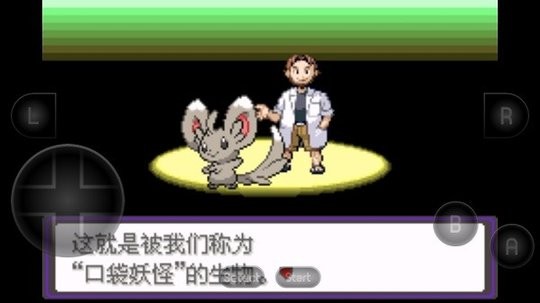 口袋妖怪：漆黑的魅影DP图3