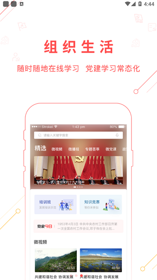 色尼先锋图4