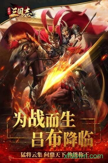 武神三国志图1