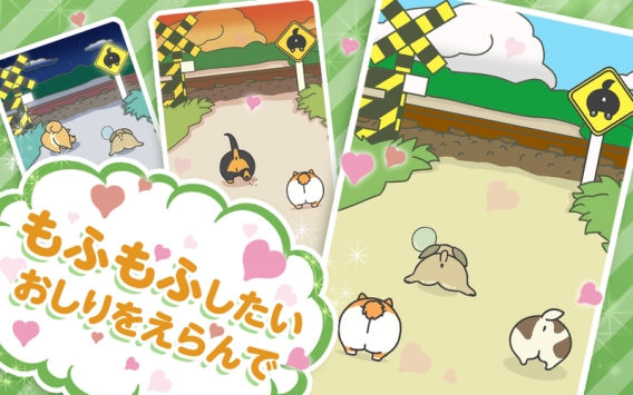 狗狗之臀(Dog Bum)图2