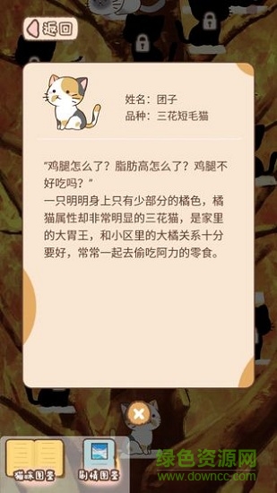 猫宅97图2