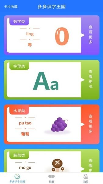 宝藏王国小帮手