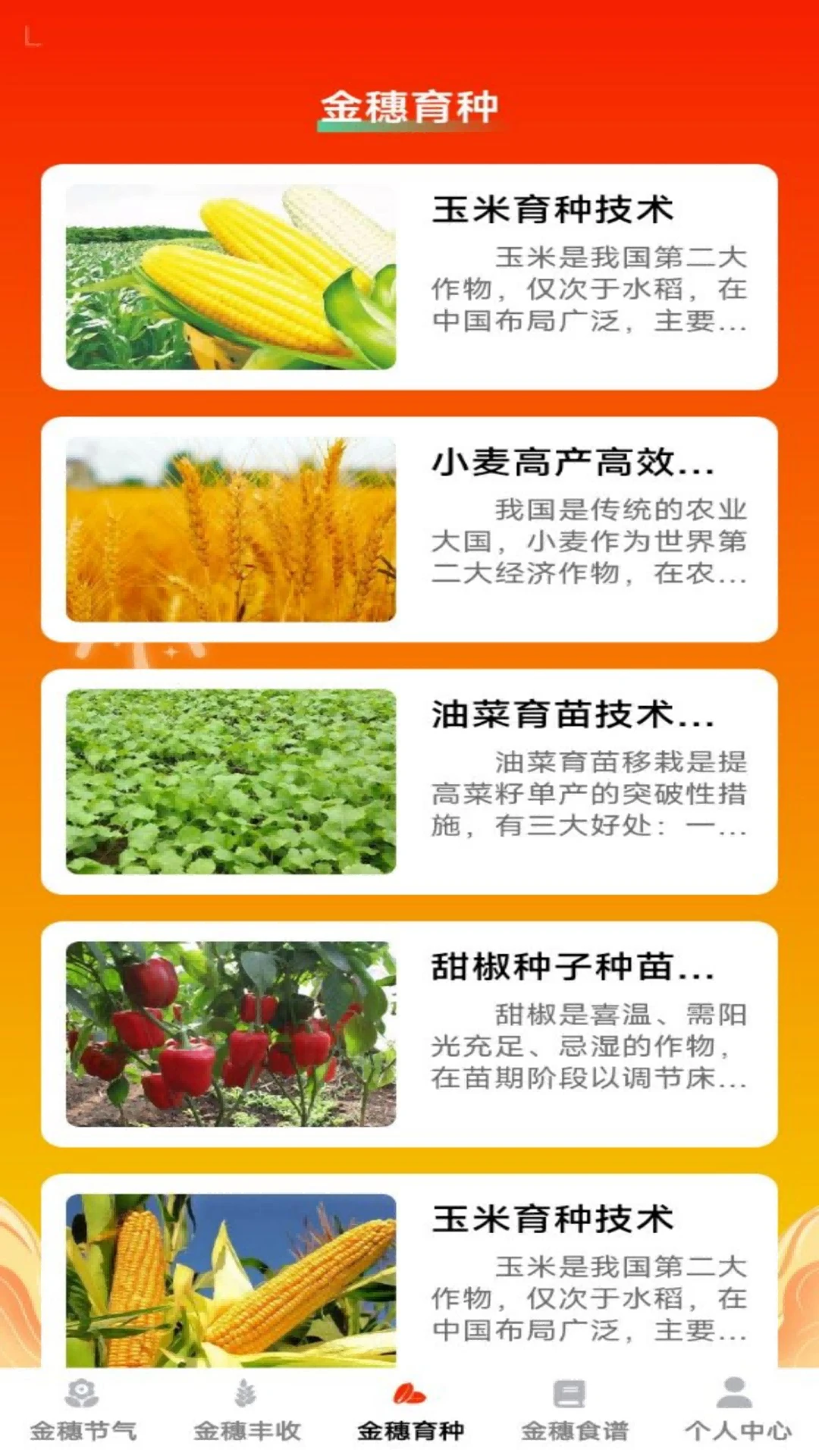 金穗满仓图3