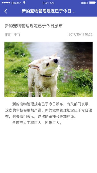 养犬执法图3