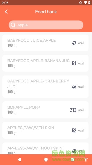 食物秤food scale