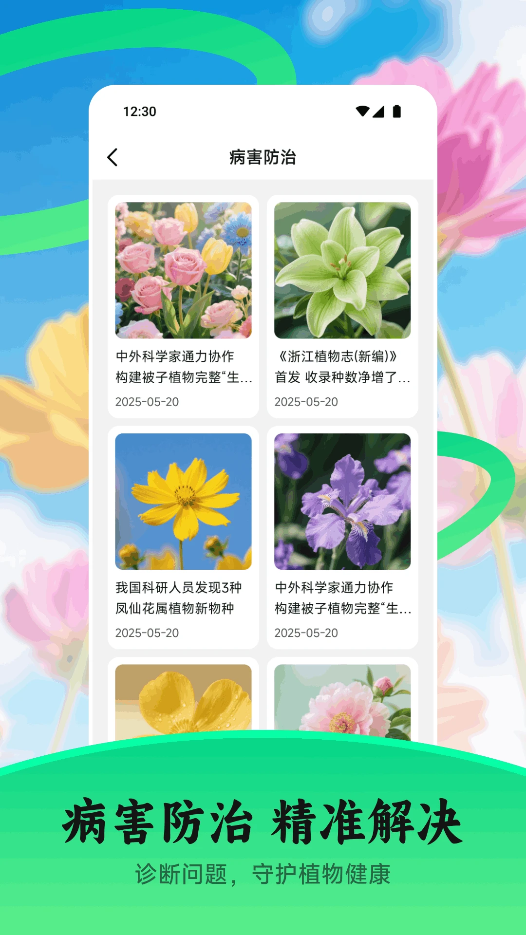 花苞图3