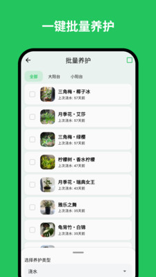 植迹图4