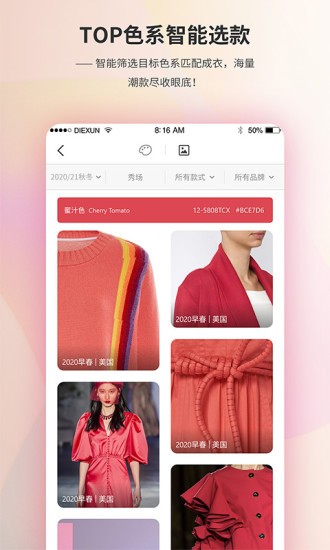 蝶讯diction最新版