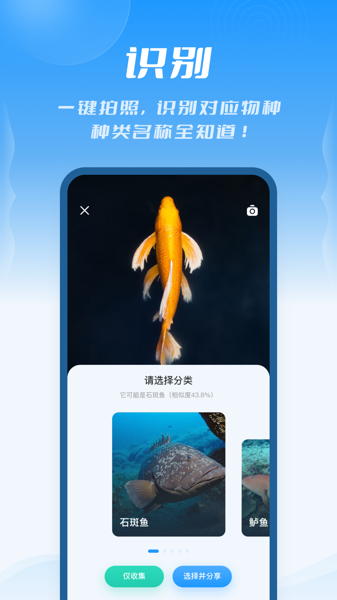 问鱼图1