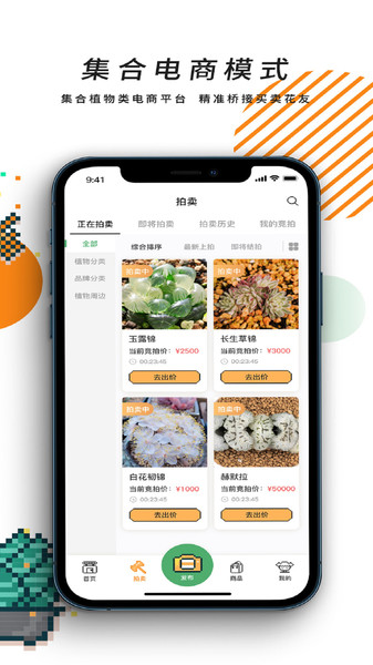 一植拍官方版 一植拍官方版