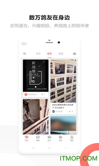 搜鸽网手机版图2