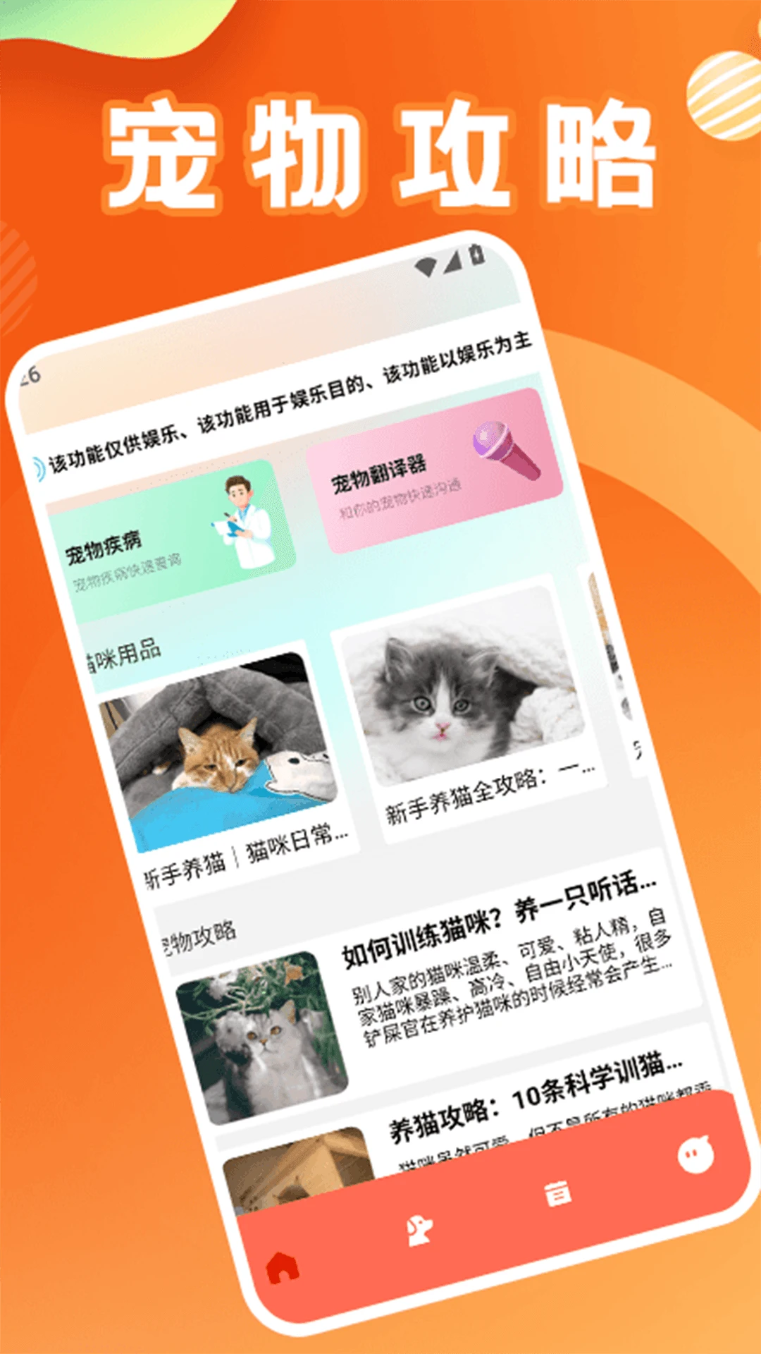 治愈猫咪2025图1