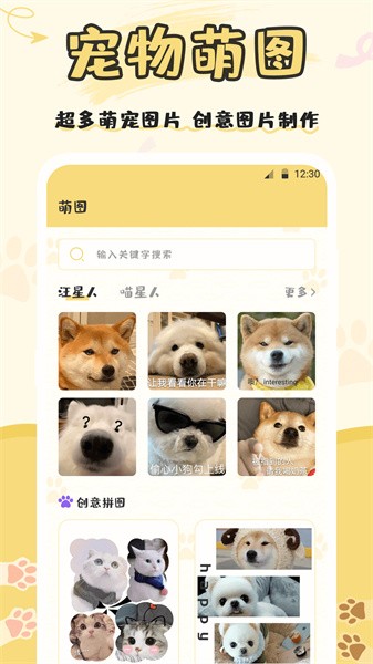 猫语（宠物日常）图3