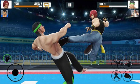 功夫大师(Karate Fighter)图1