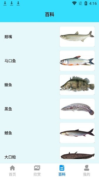 我爱养鱼图3
