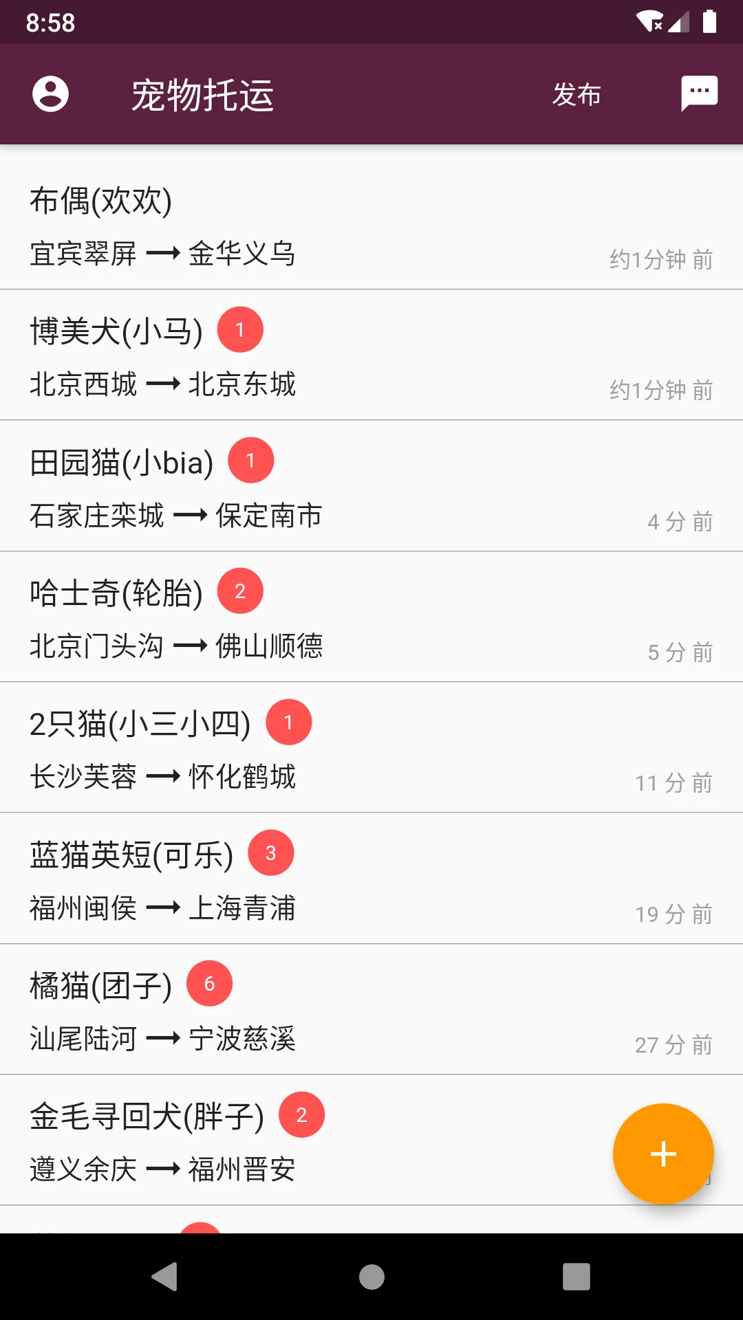 宠物托运图1