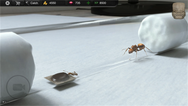 Ant Sim Tycoon安装器图3