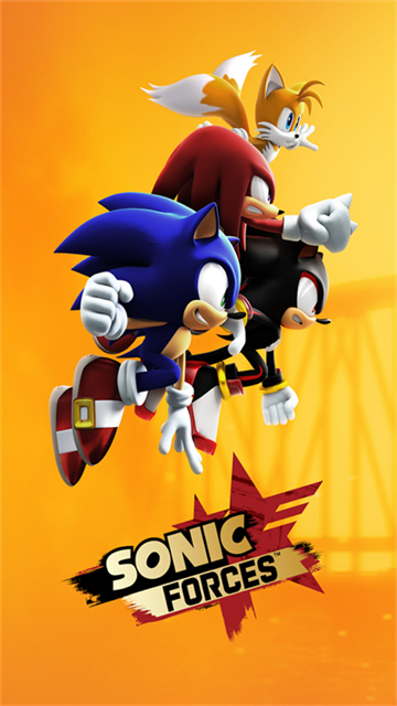 SonicForces安装器图5