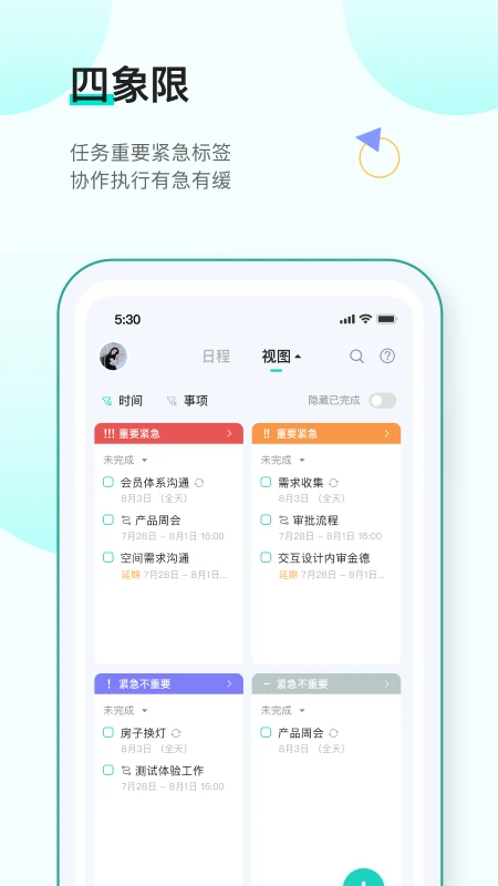 飞项图4