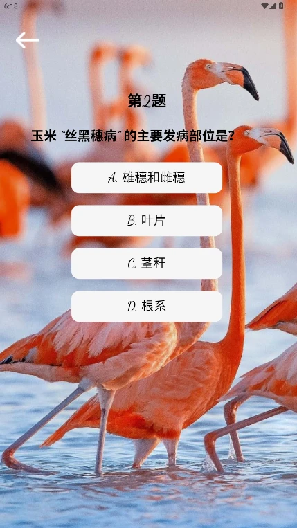 卓越聚图2