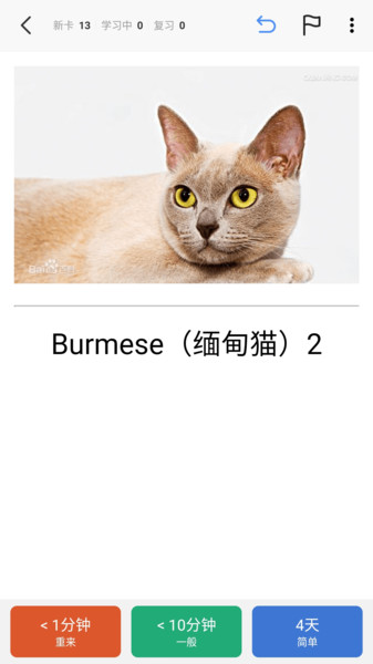 Anki探索版图1