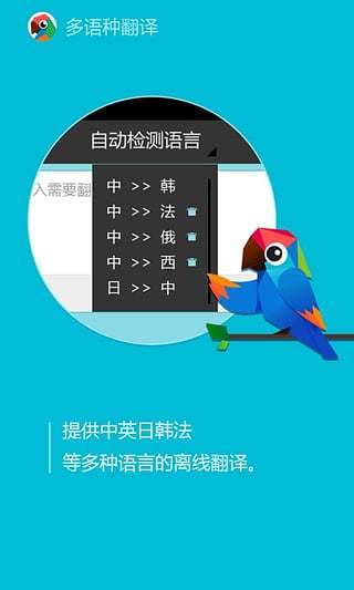 有道翻译官苹果版