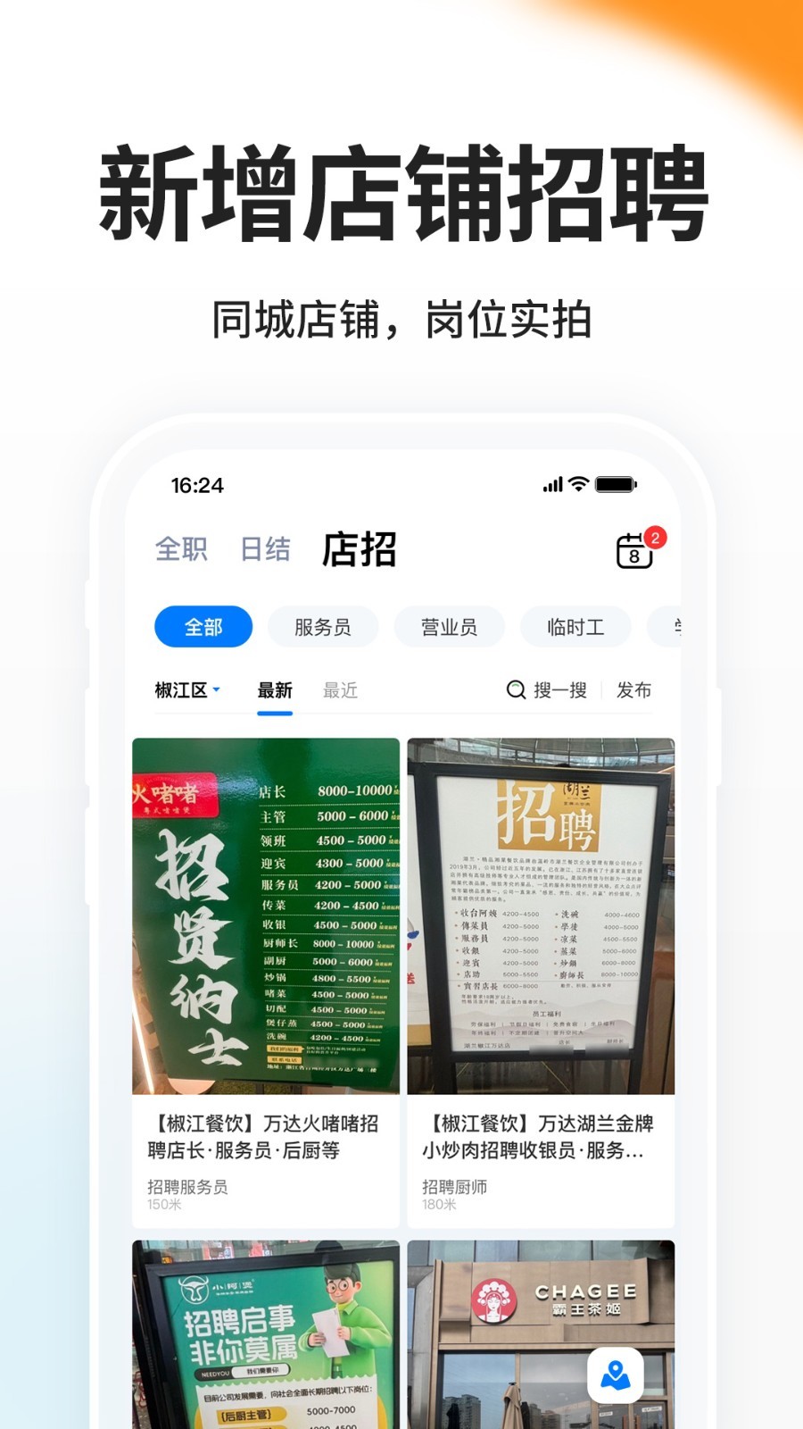 小白虾图2