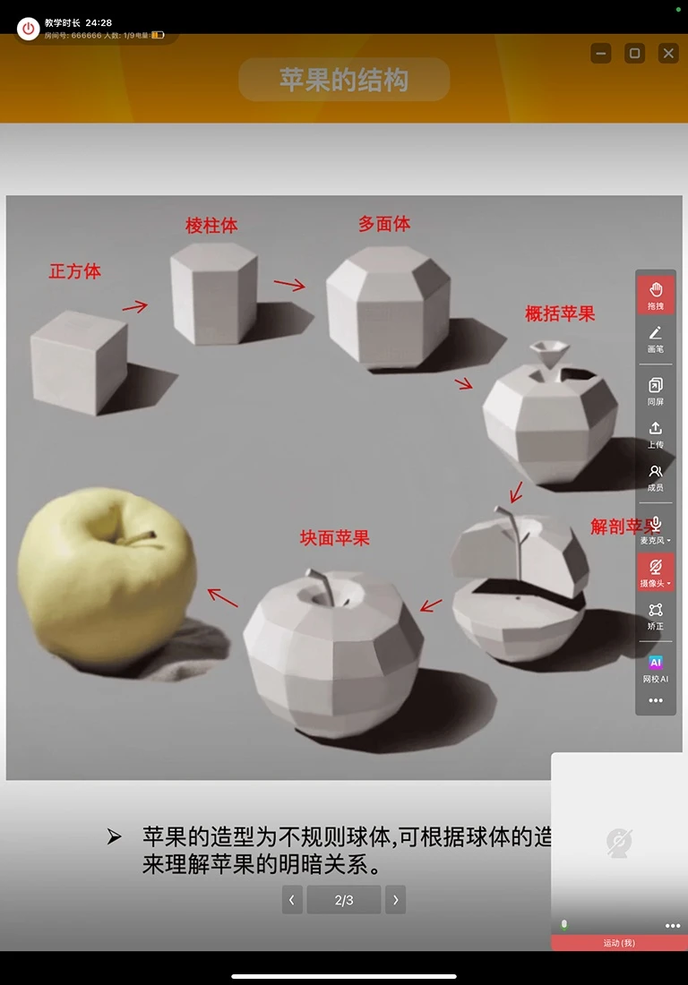 美术网校