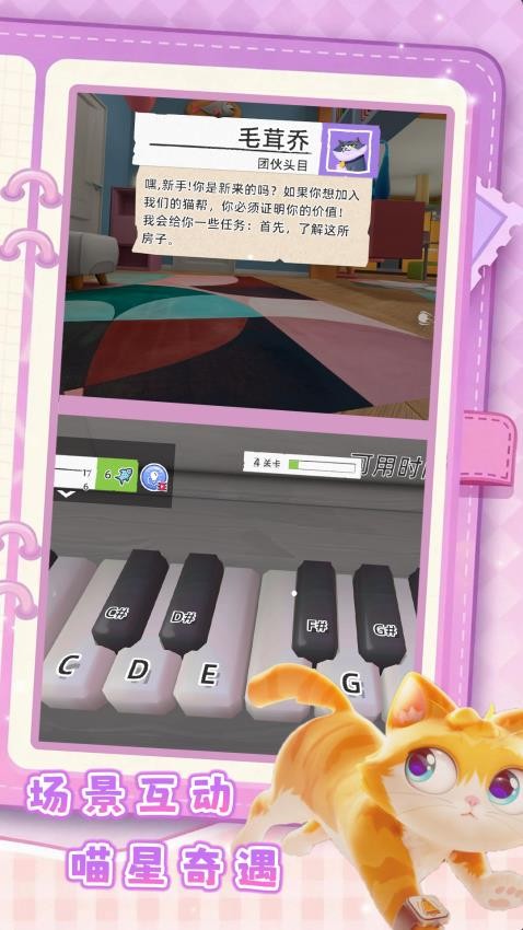 捣蛋猫