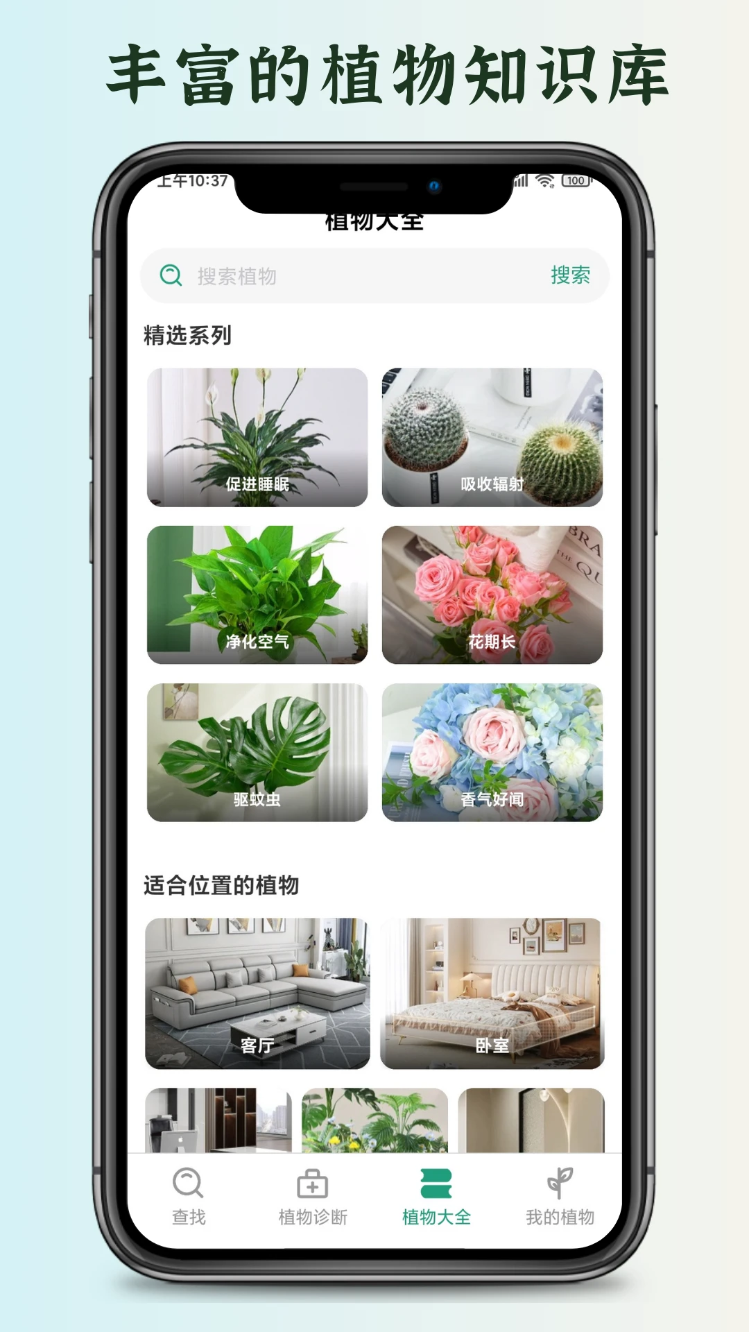 花草君图3