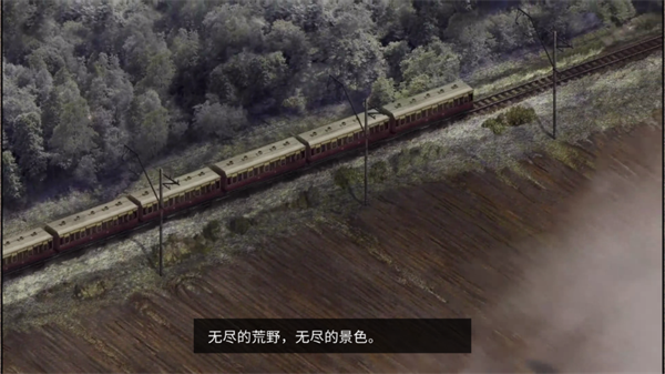 荒野探险(The Wild Case)图4