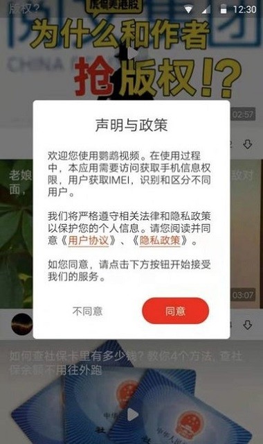 鹦鹉视频图2
