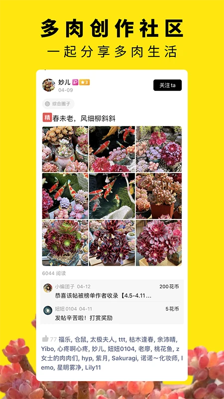 多肉圈图1