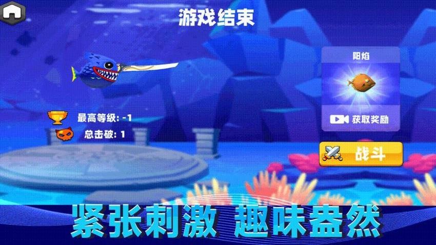 水上猫咪图1