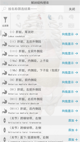 人体解剖学图谱(Atlas)手机版下载图4