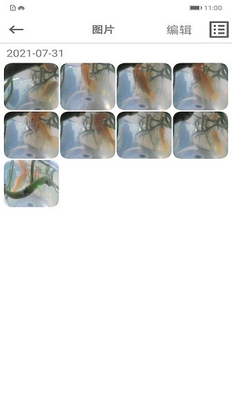 乐信车载影像app图3