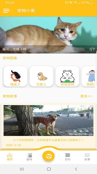 宠物小家图4