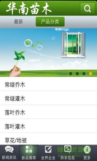 华南苗木图3