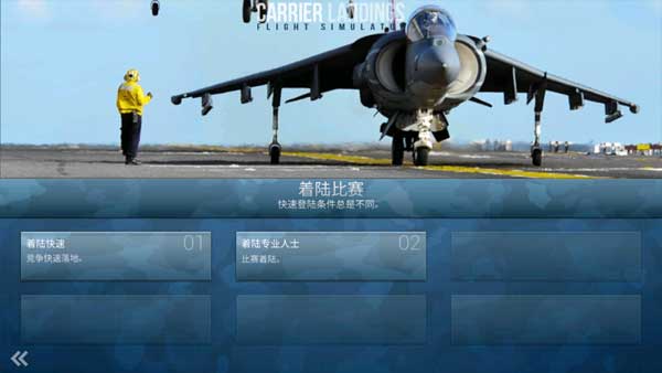 Carrier Landings安装器图3