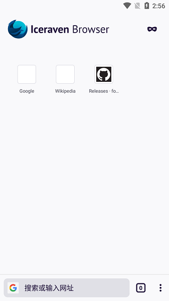 Iceraven浏览器官方版图3