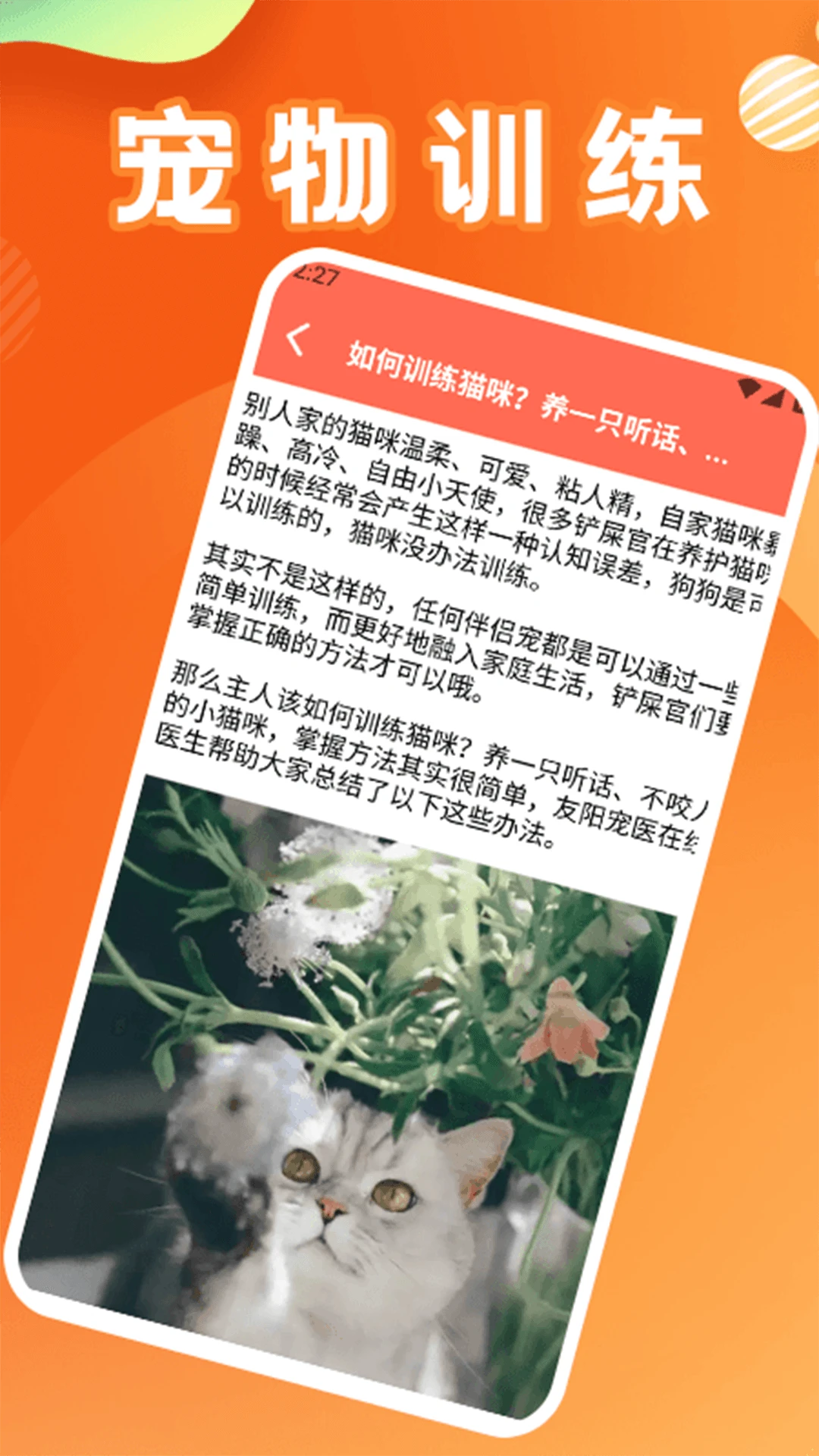 治愈猫咪2025图4