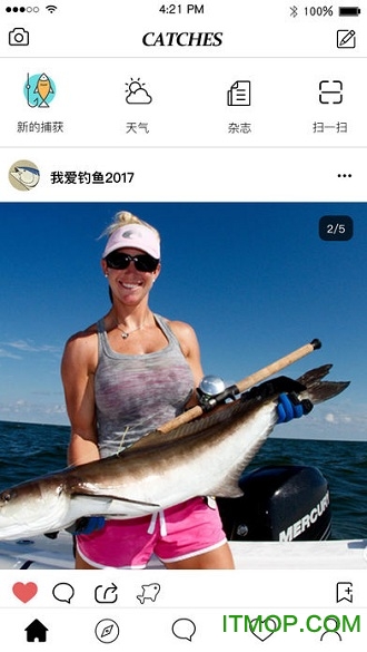 渔获app软件