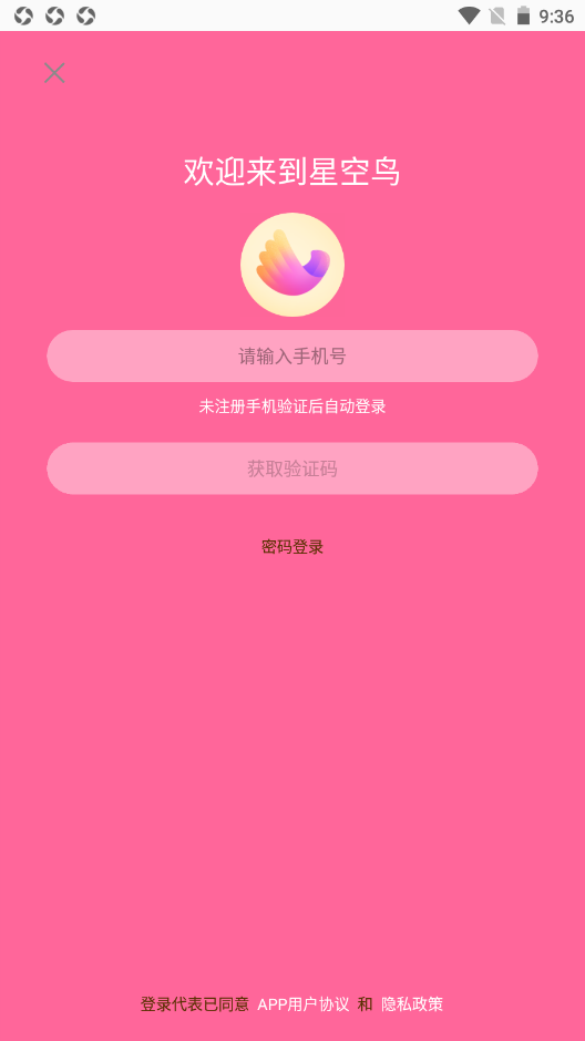 星空鸟图2