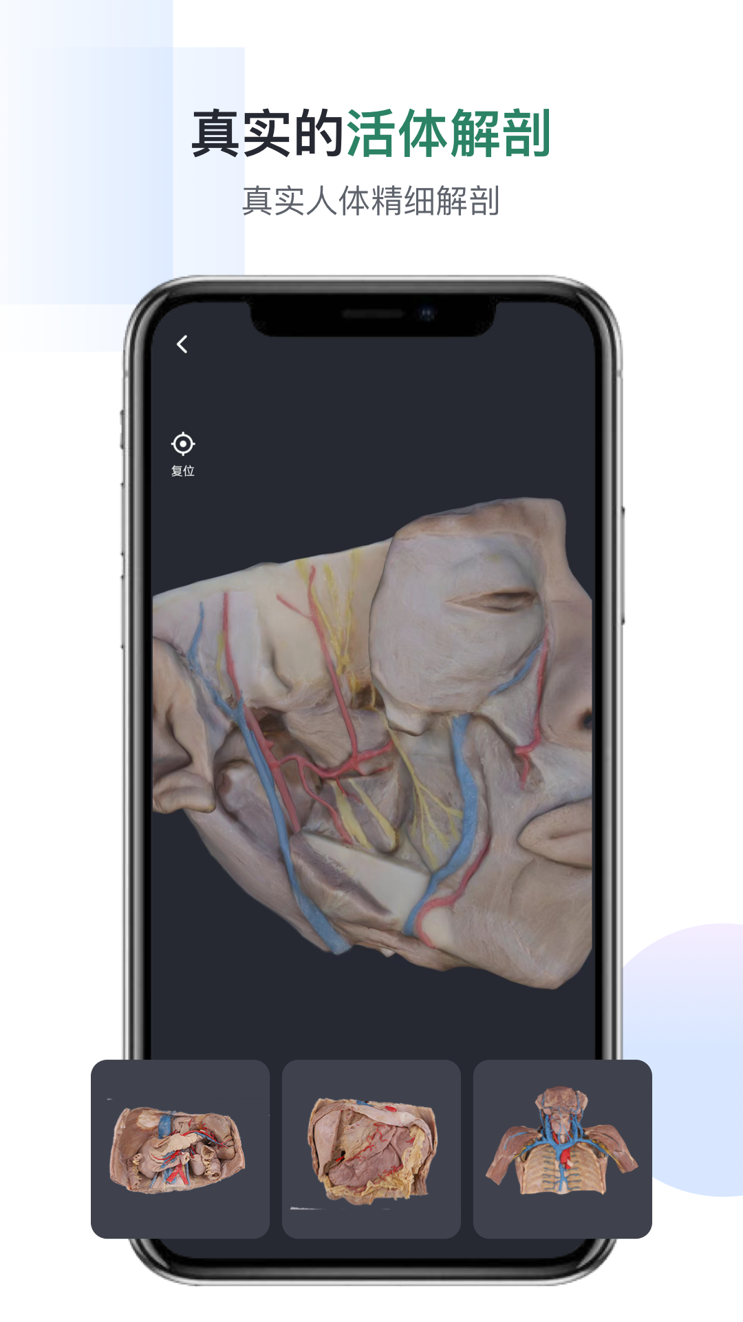 口袋人体解剖 口袋人体解剖