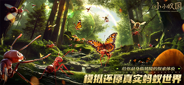 小小蚁国国际服(The Ants)图2