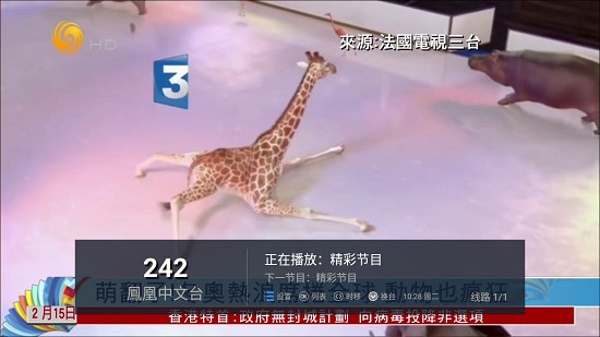 水星TV图3