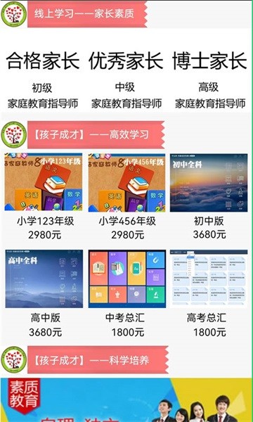参天大树图4
