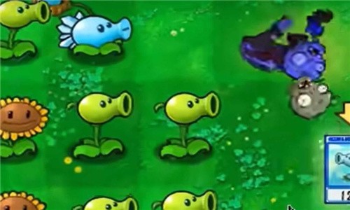 植物大战僵尸抽卡版正版图1
