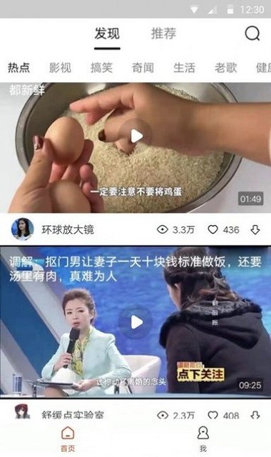 鹦鹉视频图4