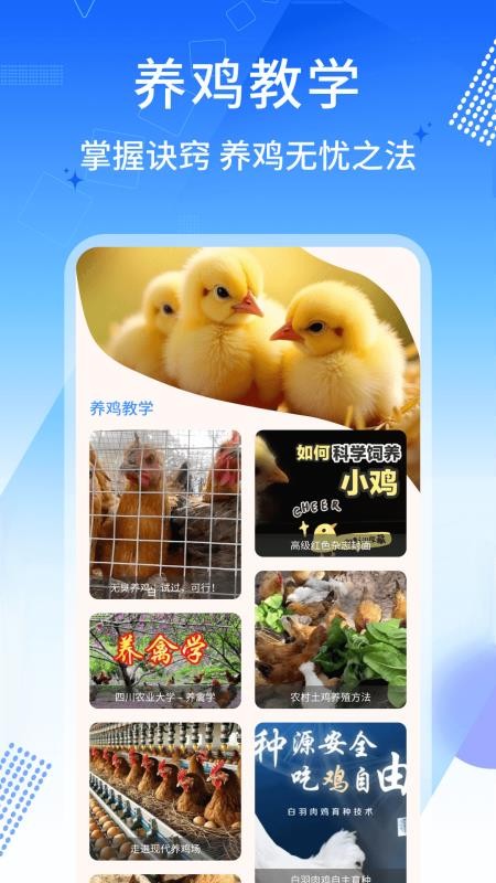养鸡宝图1